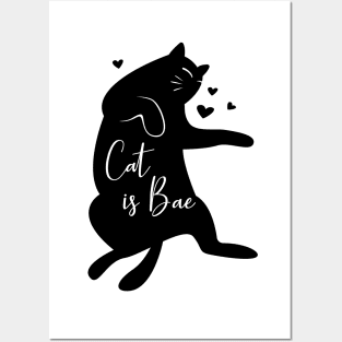 Cat is Bae Posters and Art